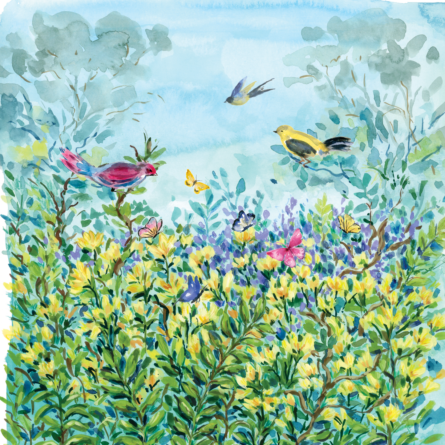 Birds & Foliage