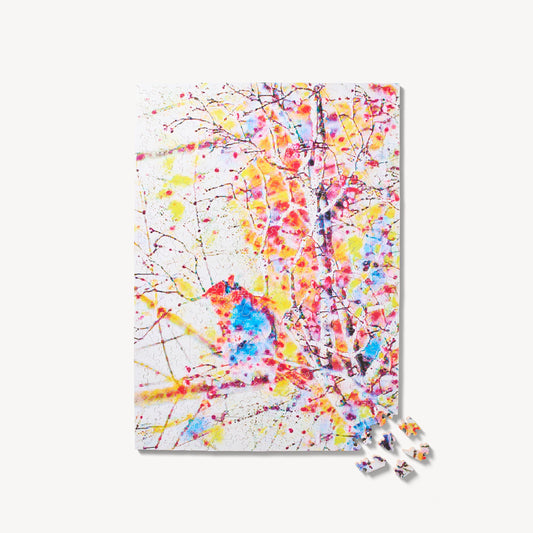 Raining Colors
