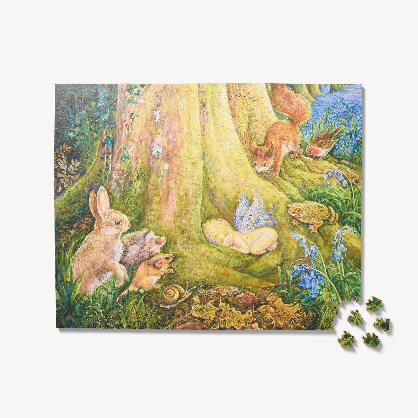 Woodland Wonder