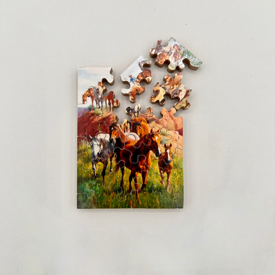 Jack Sorenson, CA Pocket Puzzles