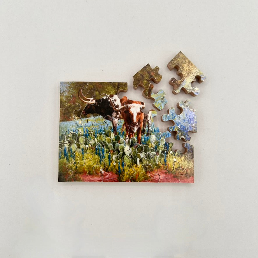 Jack Sorenson, CA Pocket Puzzles