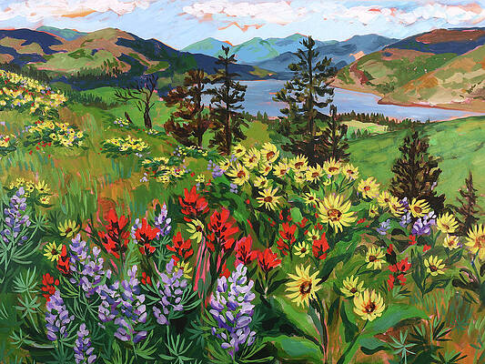 Mosier Wildflowers