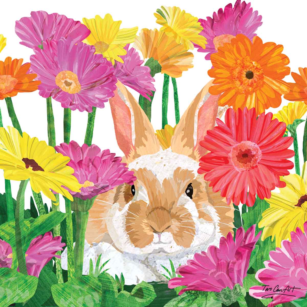 Bunny Garden
