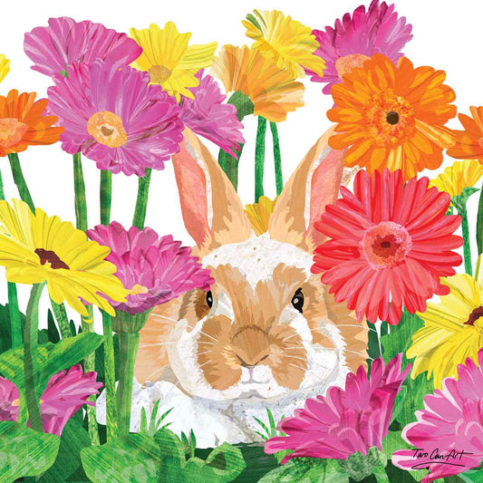Bunny Garden