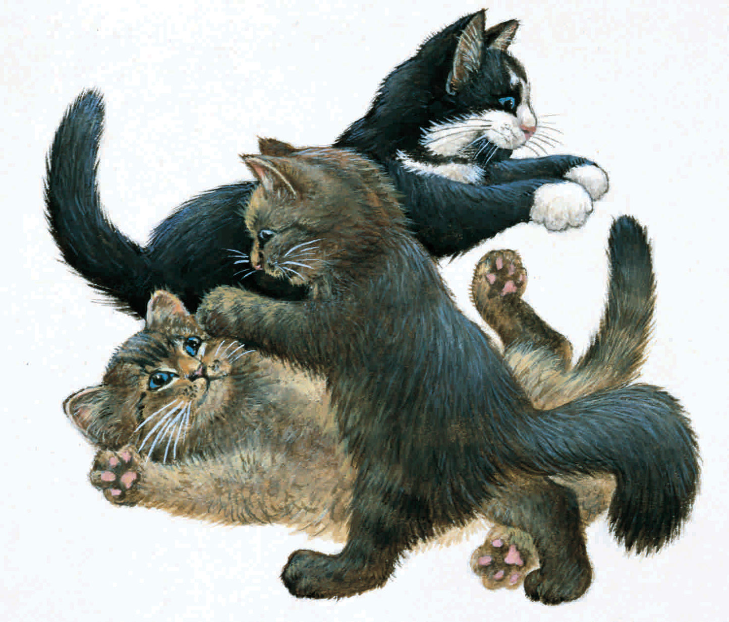 Chesterton, Octopussy & Ruskin Fighting