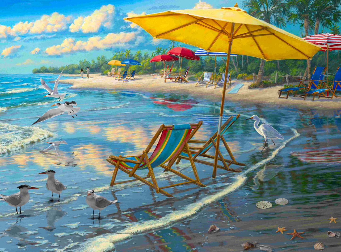 Coastal Reflections