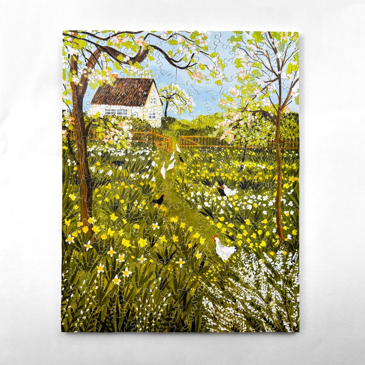 Spring