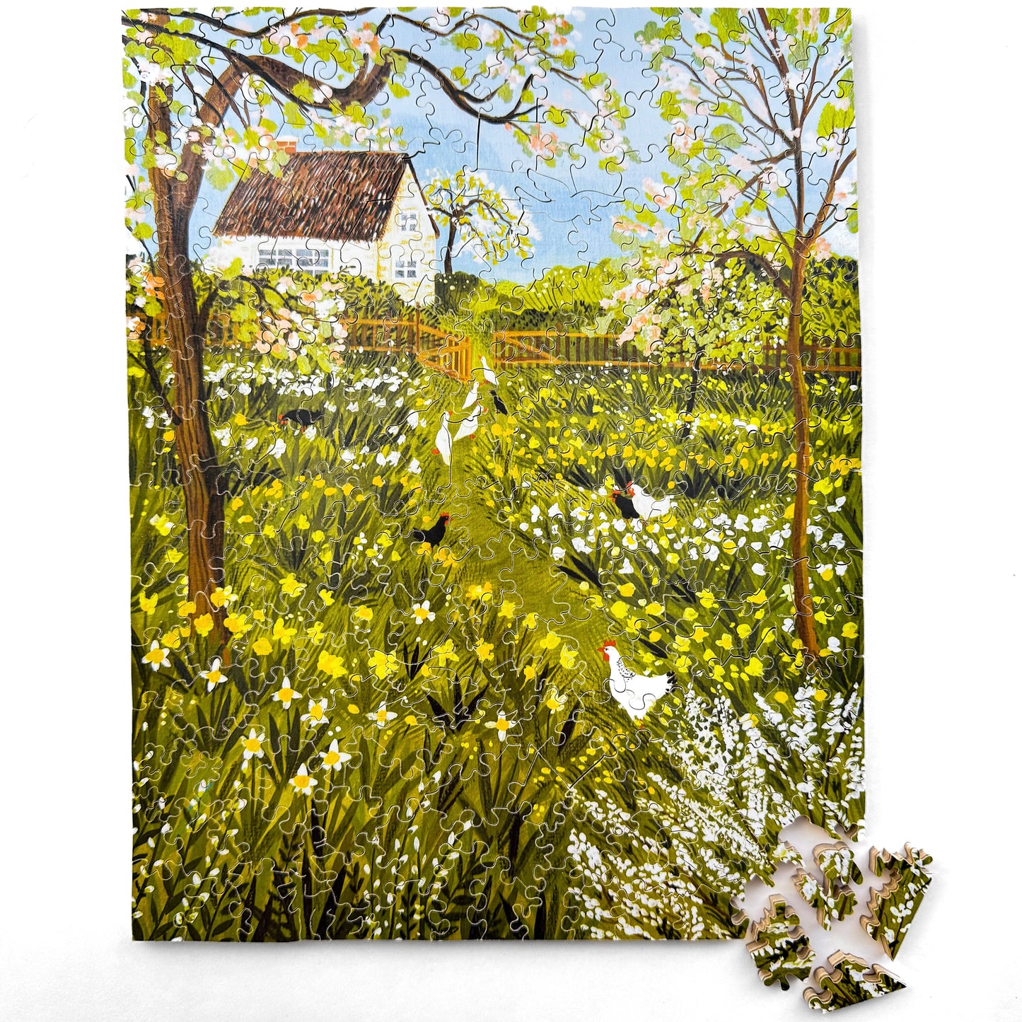 Spring