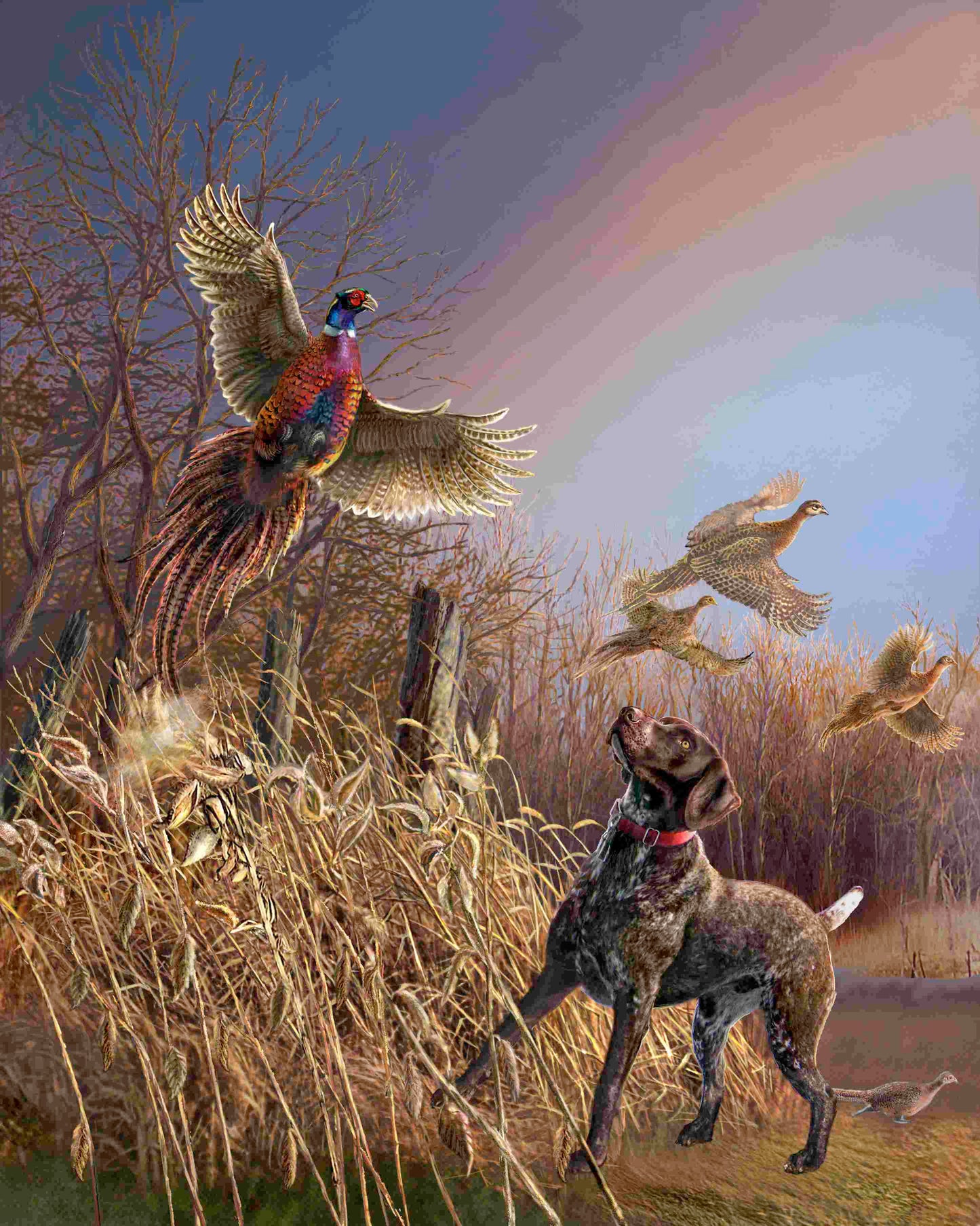 Roan Flush