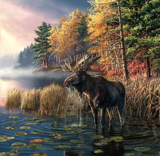 JMEG_Canoe_Country.jpg
