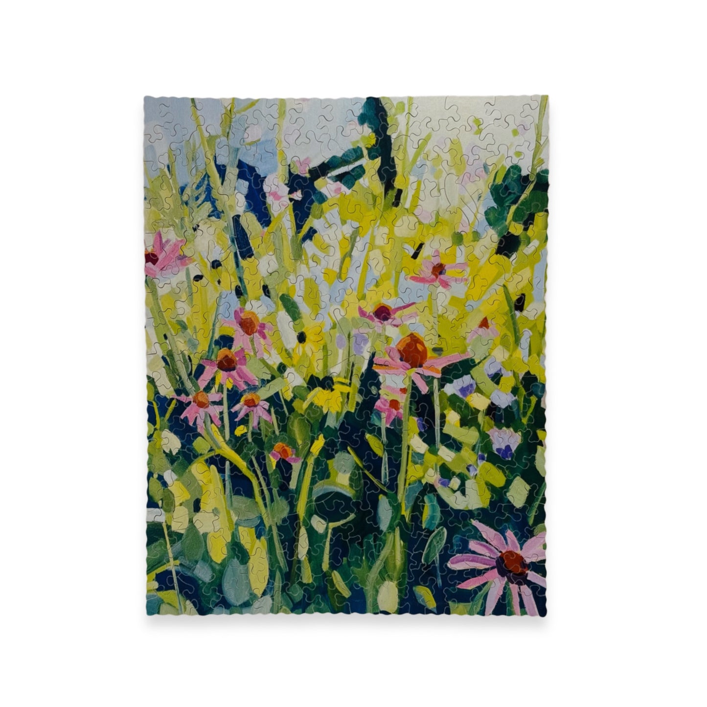 Echinacea