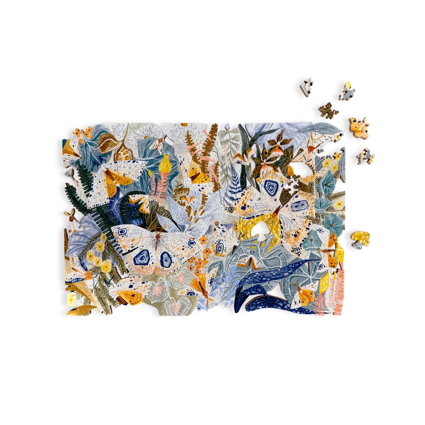 Botanica Moths