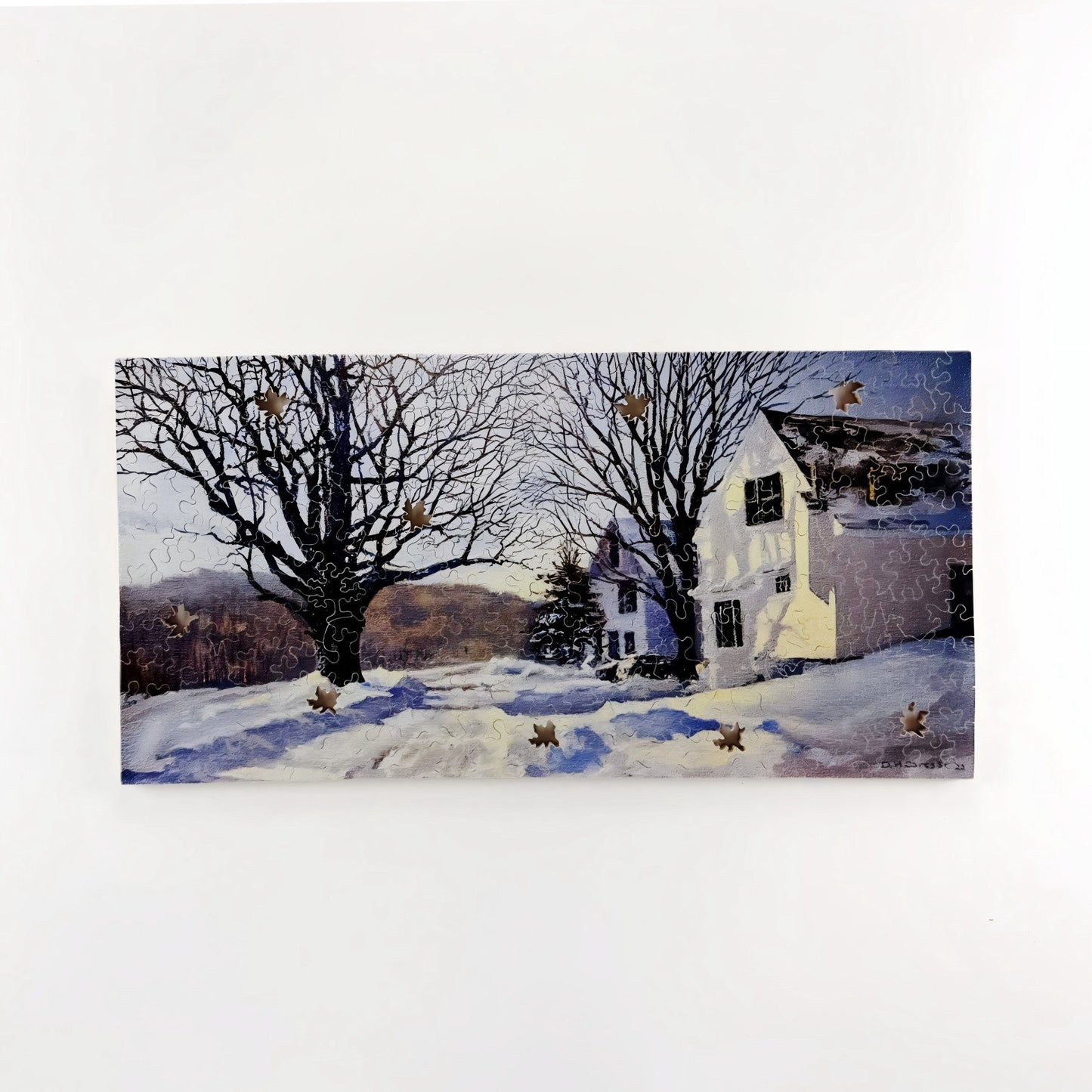 Winter Afternoon