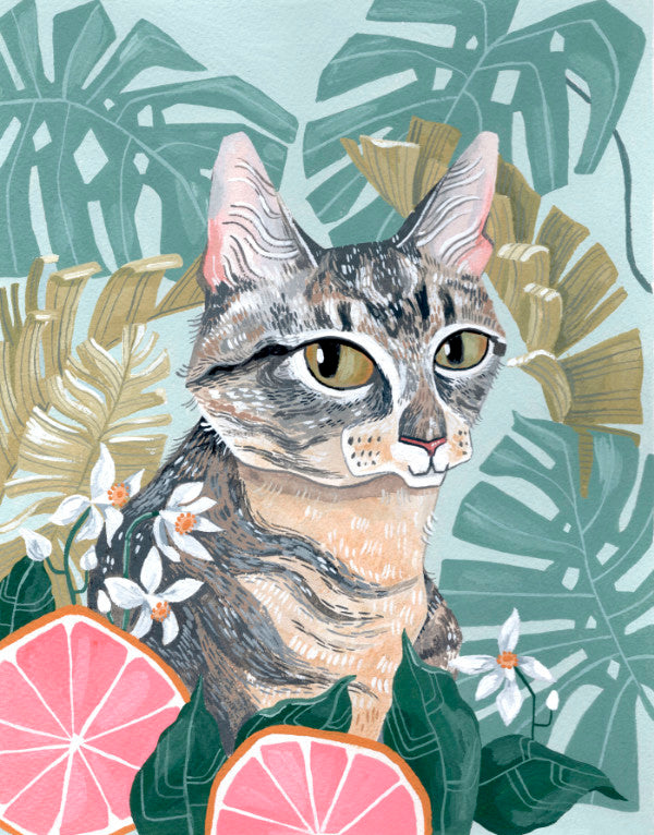 Grapefruit Cat