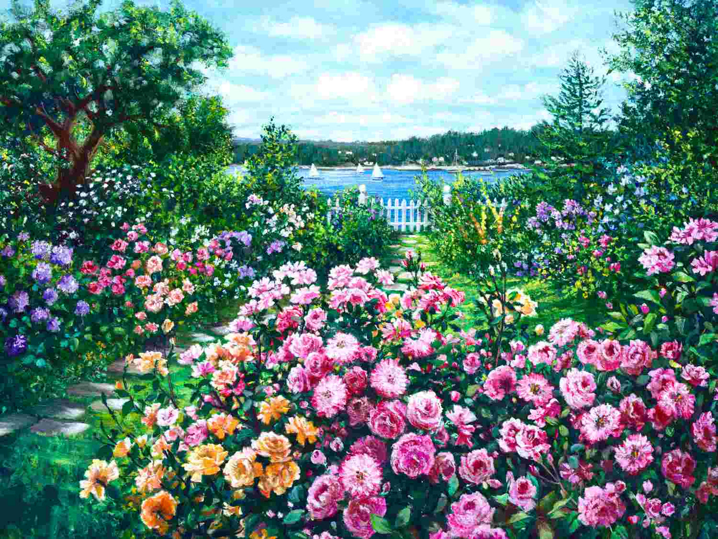 Harbor Roses