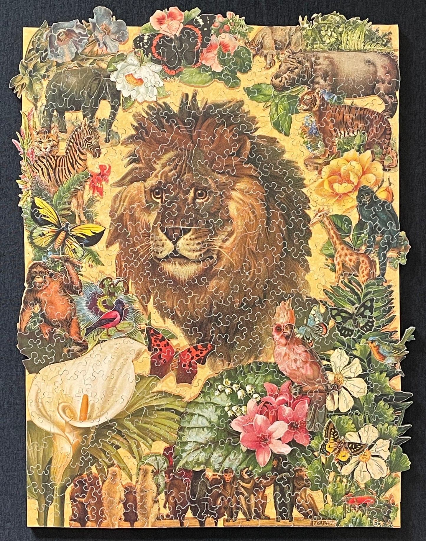 Song of Africa