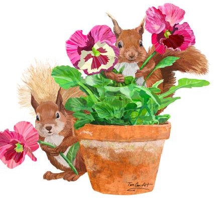 Garden Squirrels