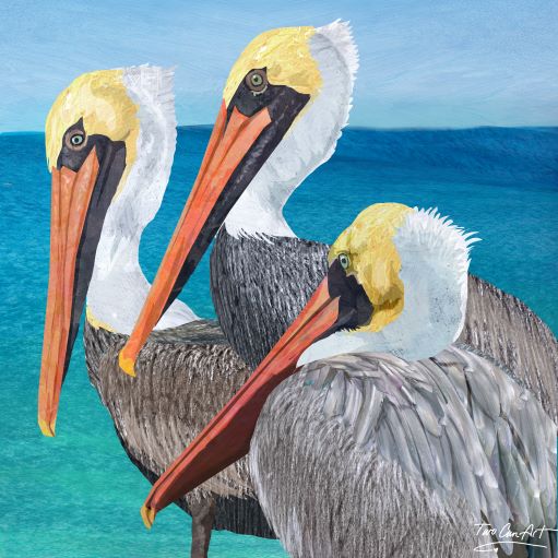 Pelican Group