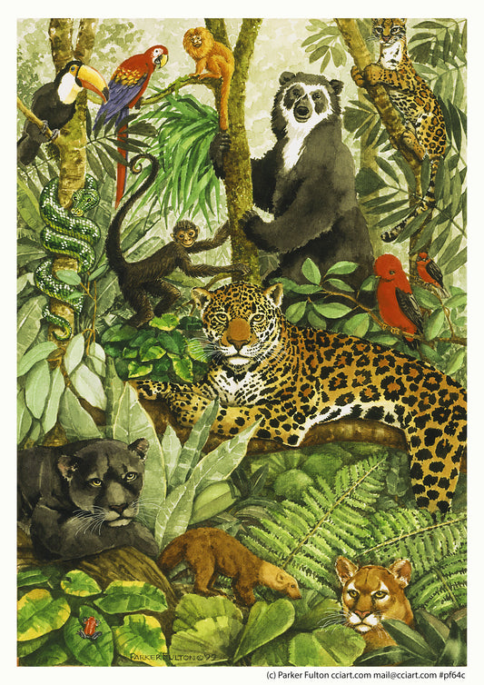Rainforest Rendezvous