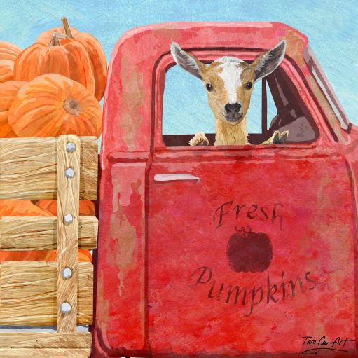 The Pumpkin Kid