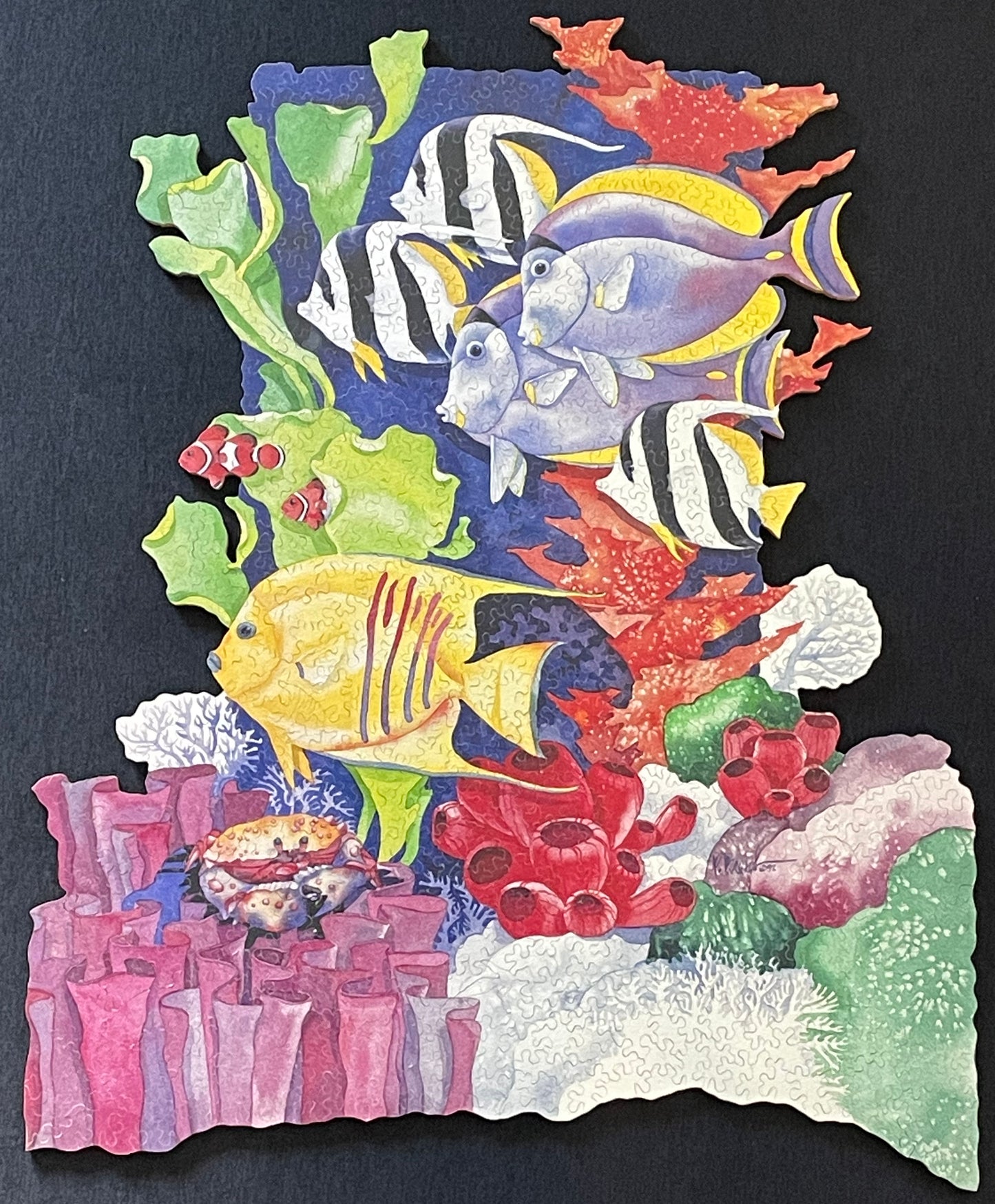 Tropical Lagoon