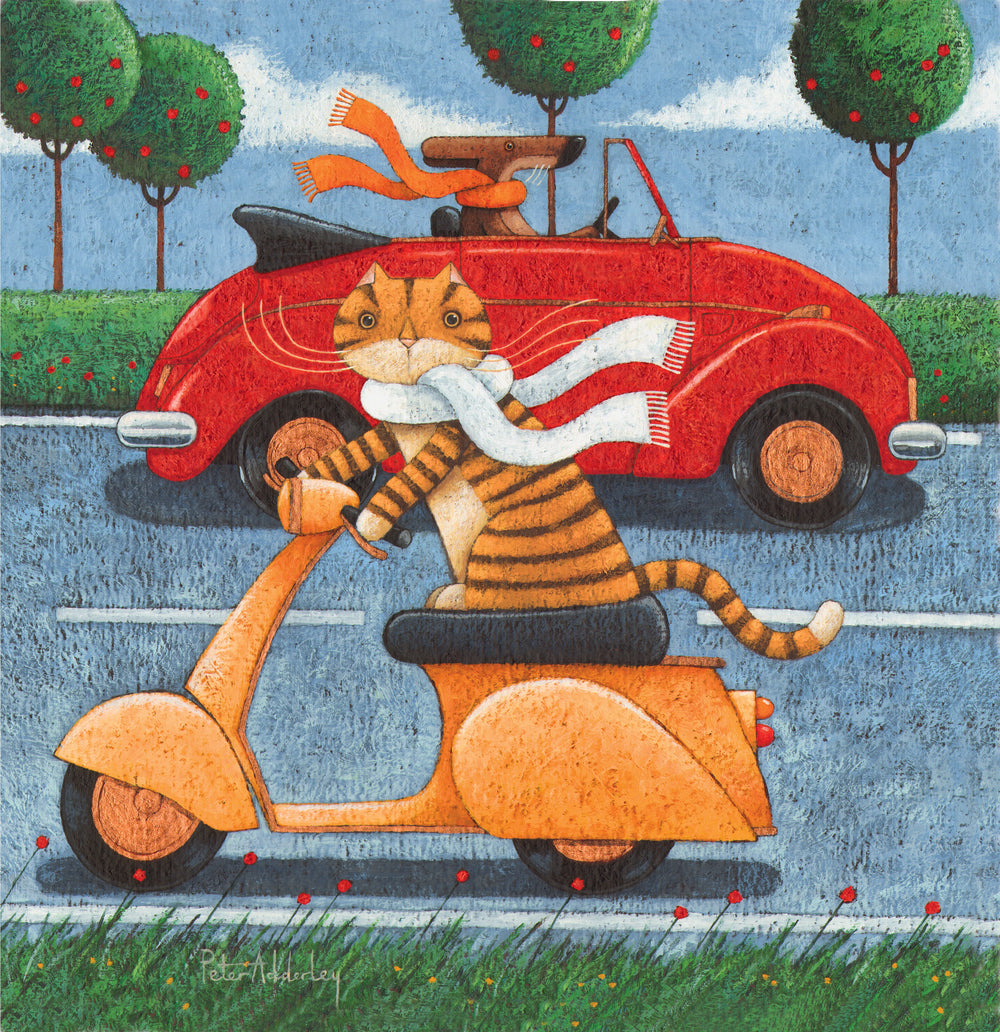 Peter Adderly Wooden Puzzles