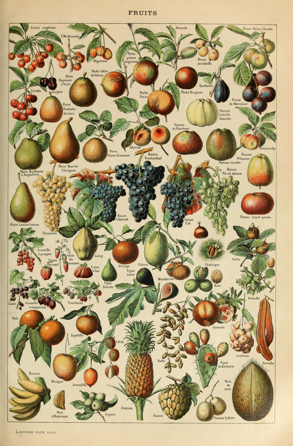 Adolphe Millot Wooden Puzzles