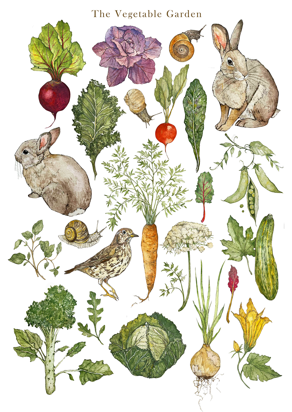 Jane Carkill Wooden Puzzles