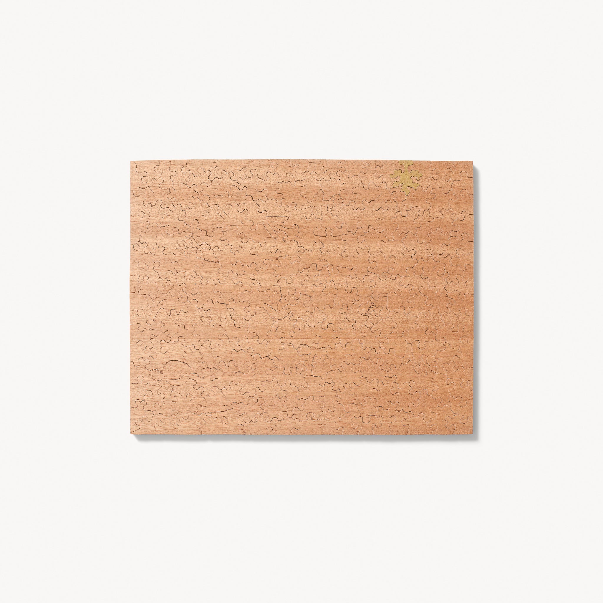 Still Life: Flowers and Fruit