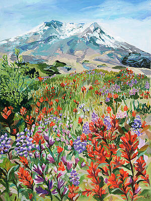 Mount St. Helens Wildflowers
