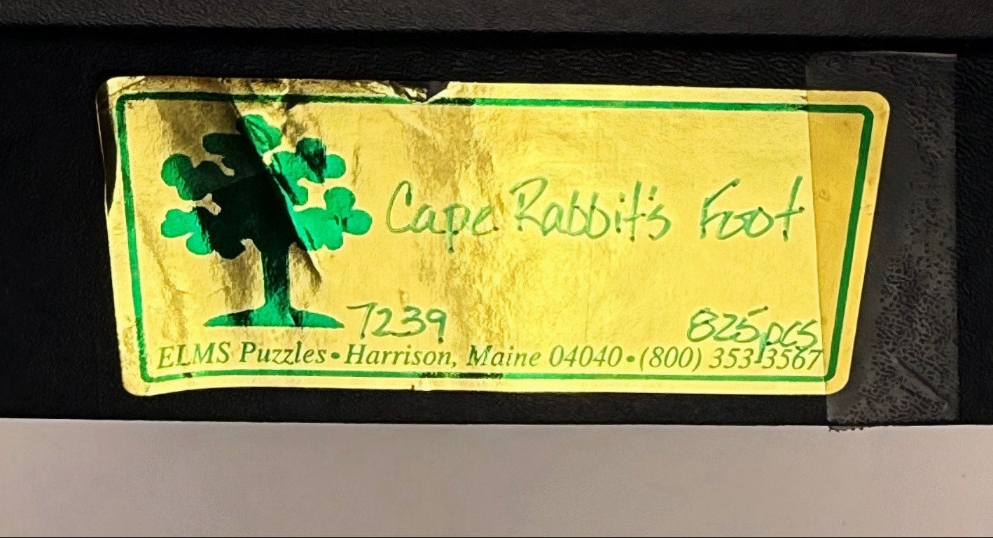 Cape Rabbit's Foot