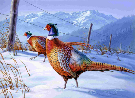 Pheasants