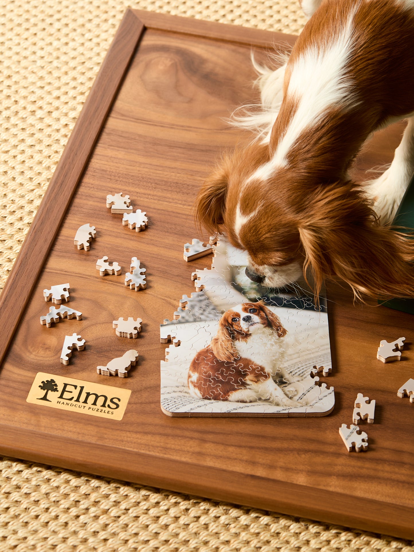 Custom Pet Portrait Puzzles
