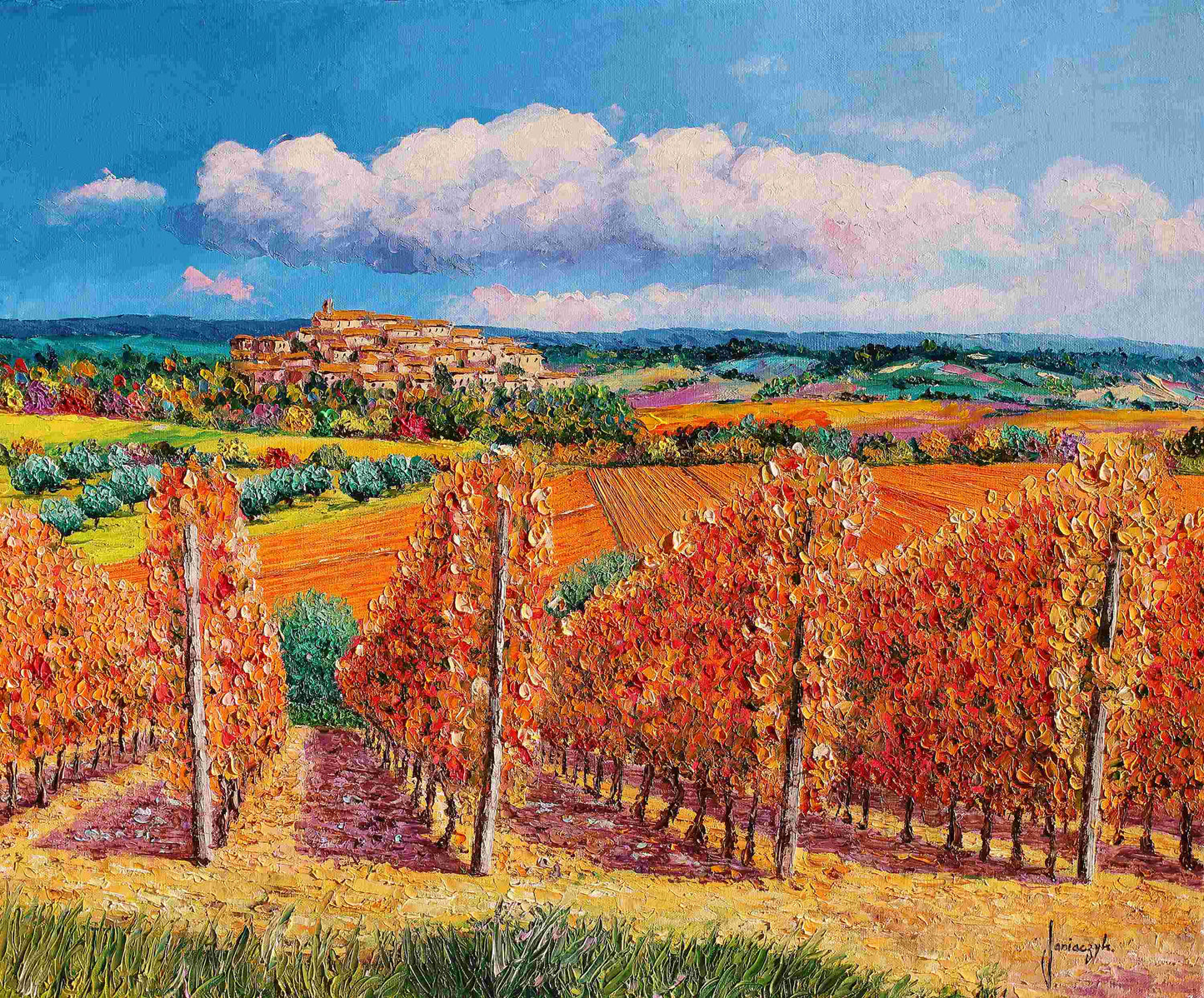 Vineyards in Autumn