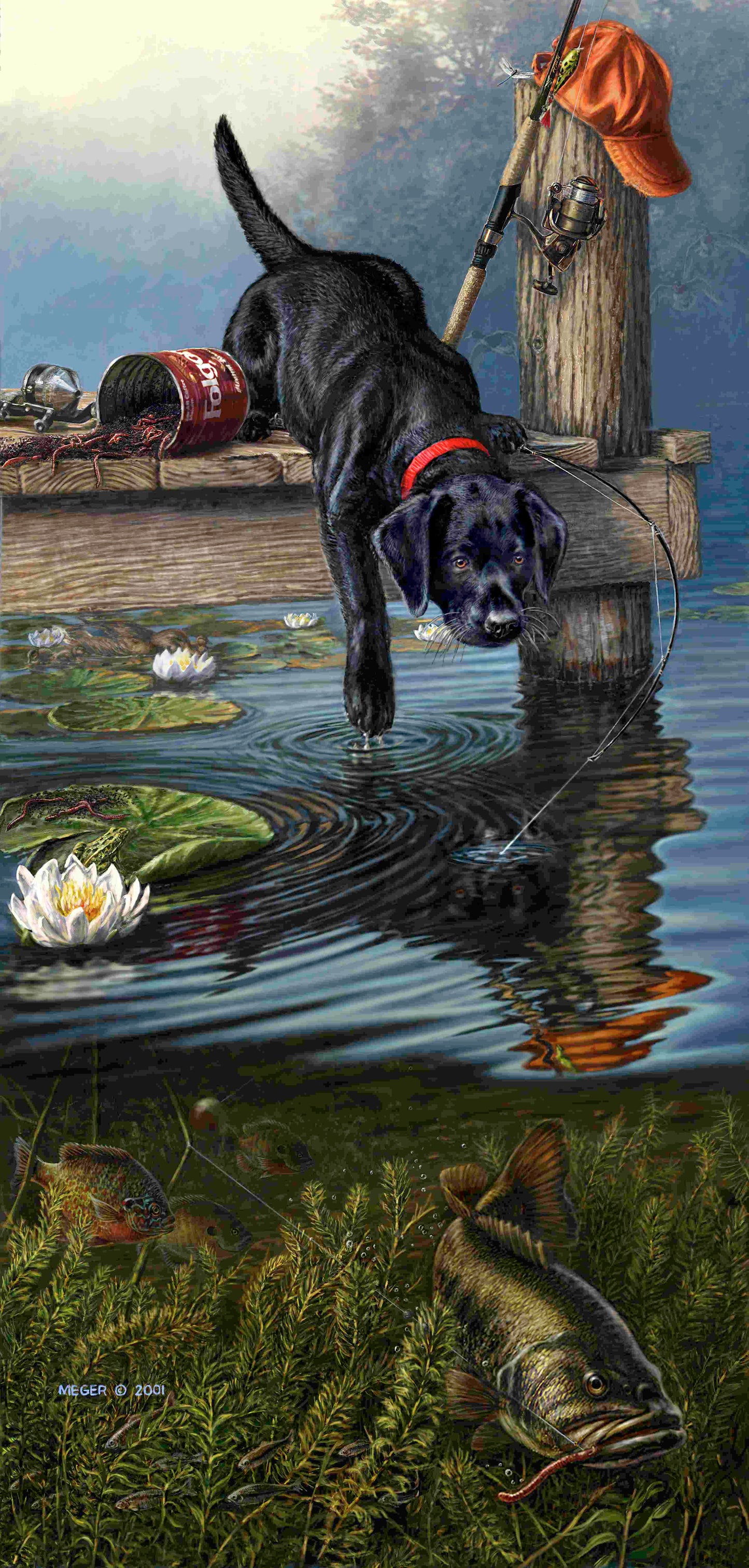 Ripples