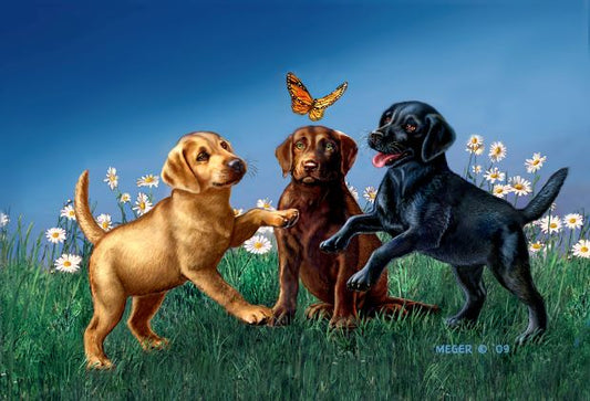 JMEG_New_Pups.jpg