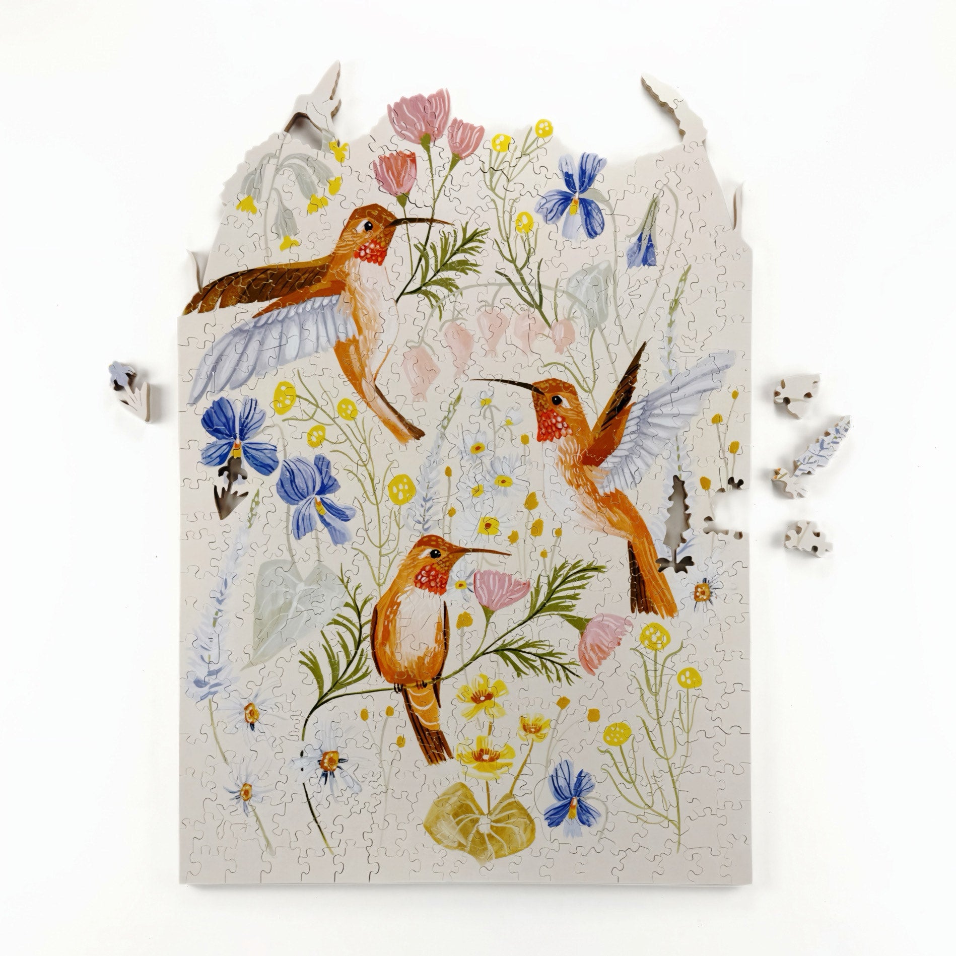 Hummingbird Wildflowers