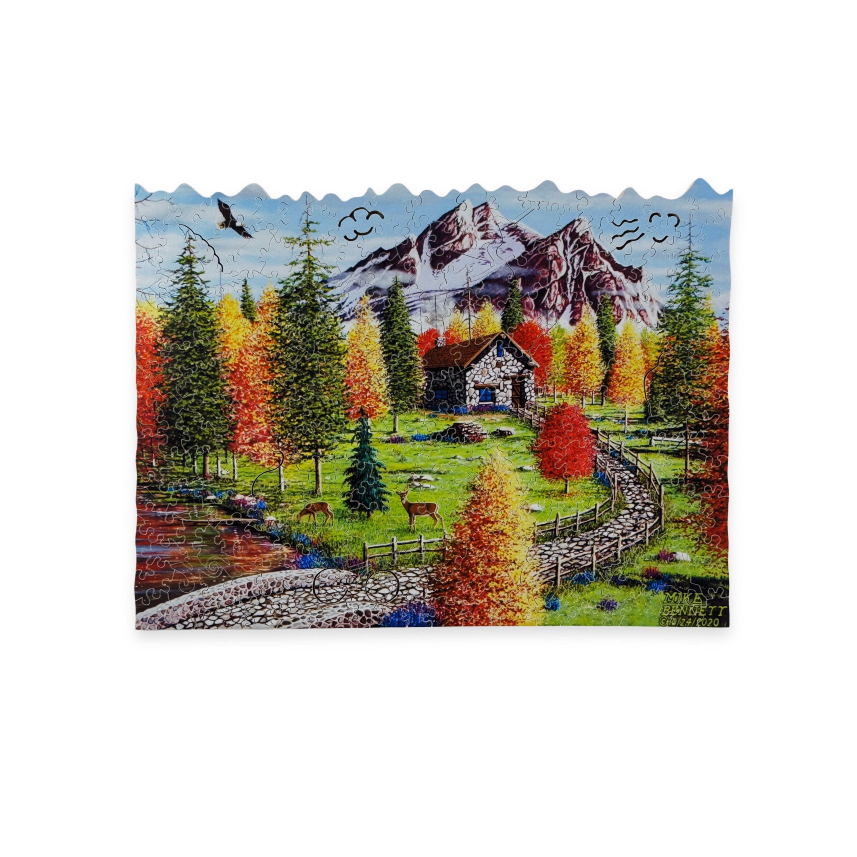 Idaho Mountain Cabin