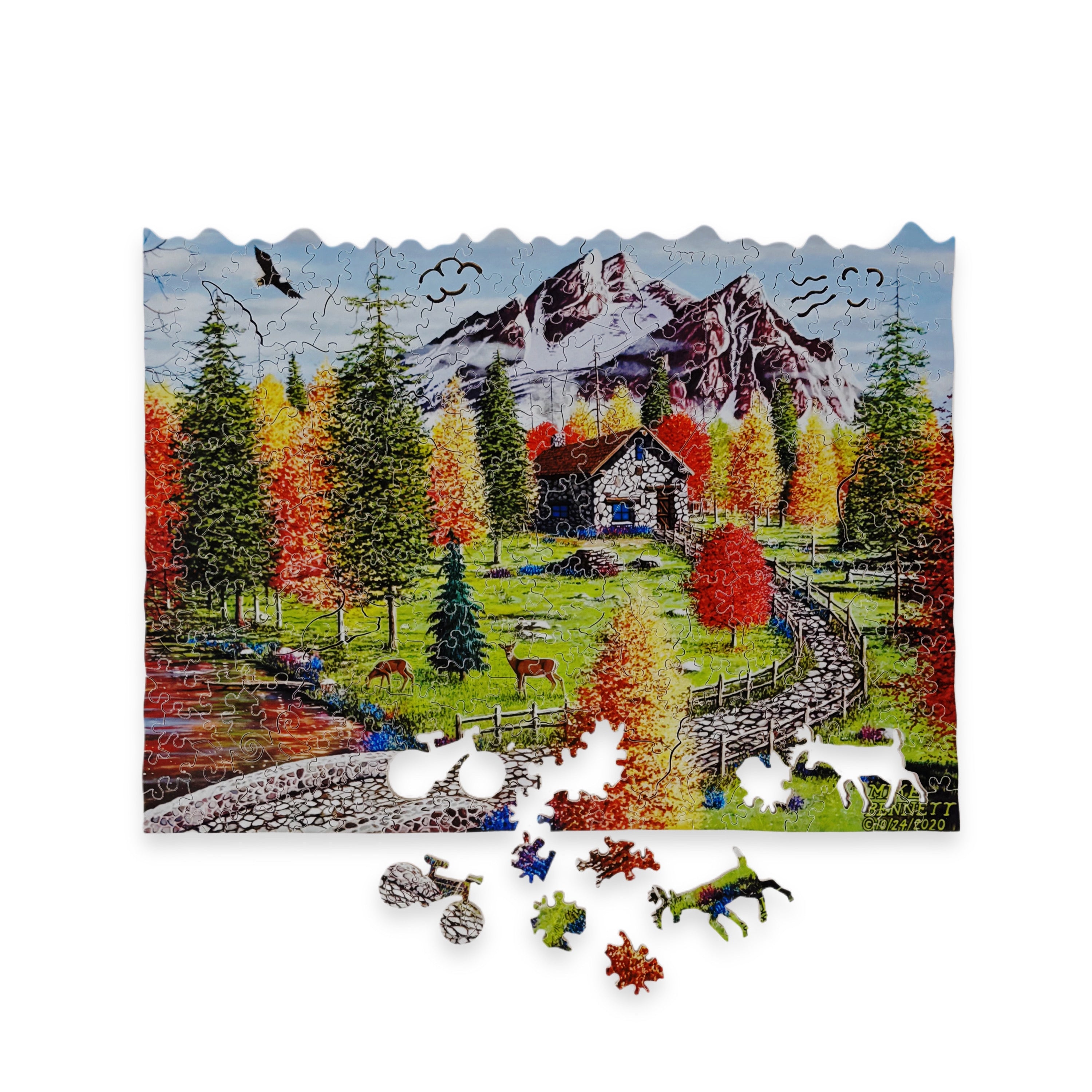 Idaho Mountain Cabin