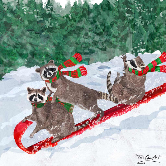 Raccoon Toboggan