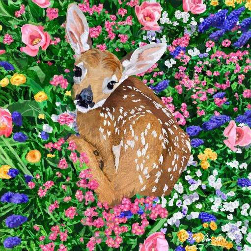 Fawn in Garden