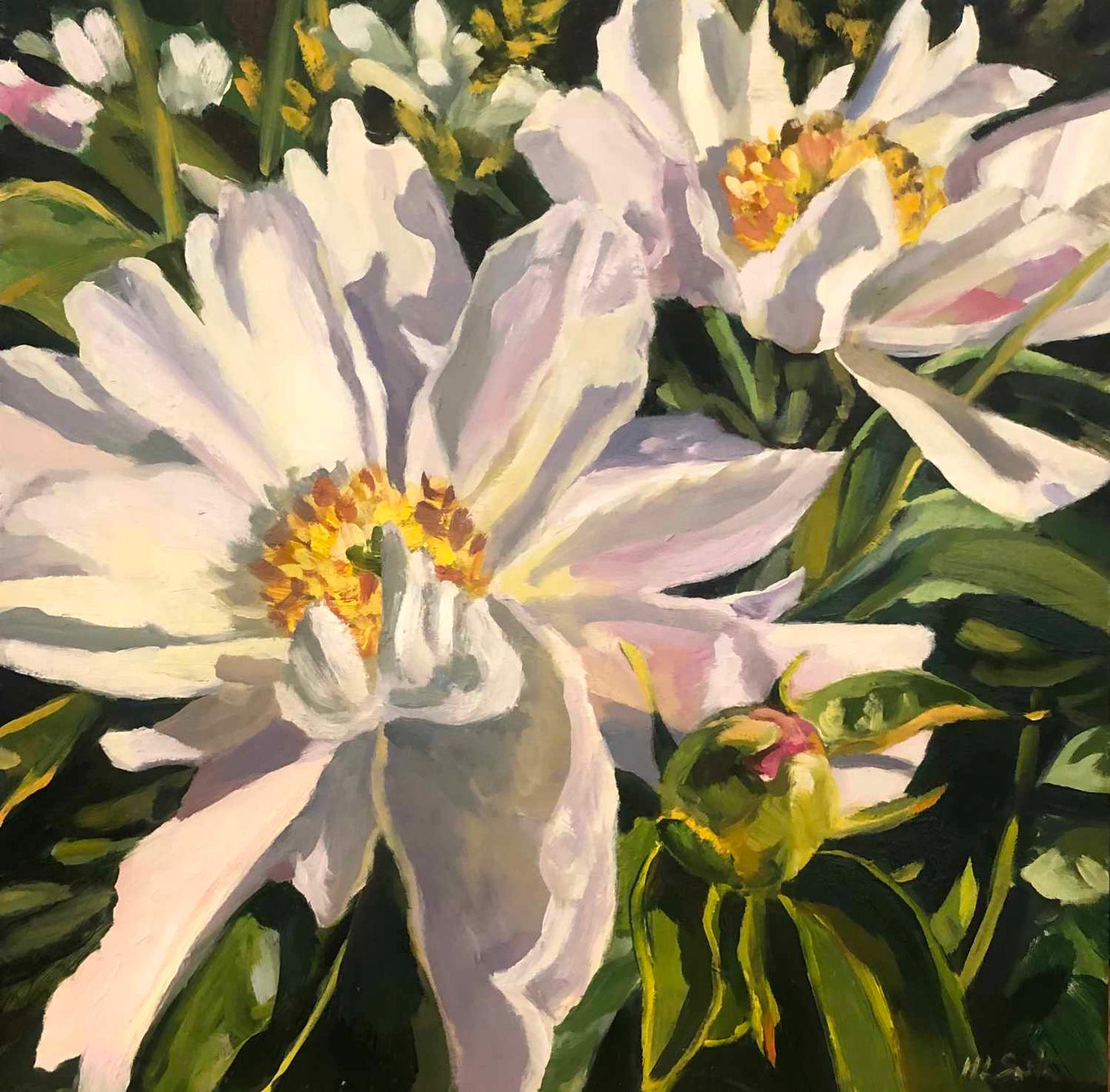 Peonies