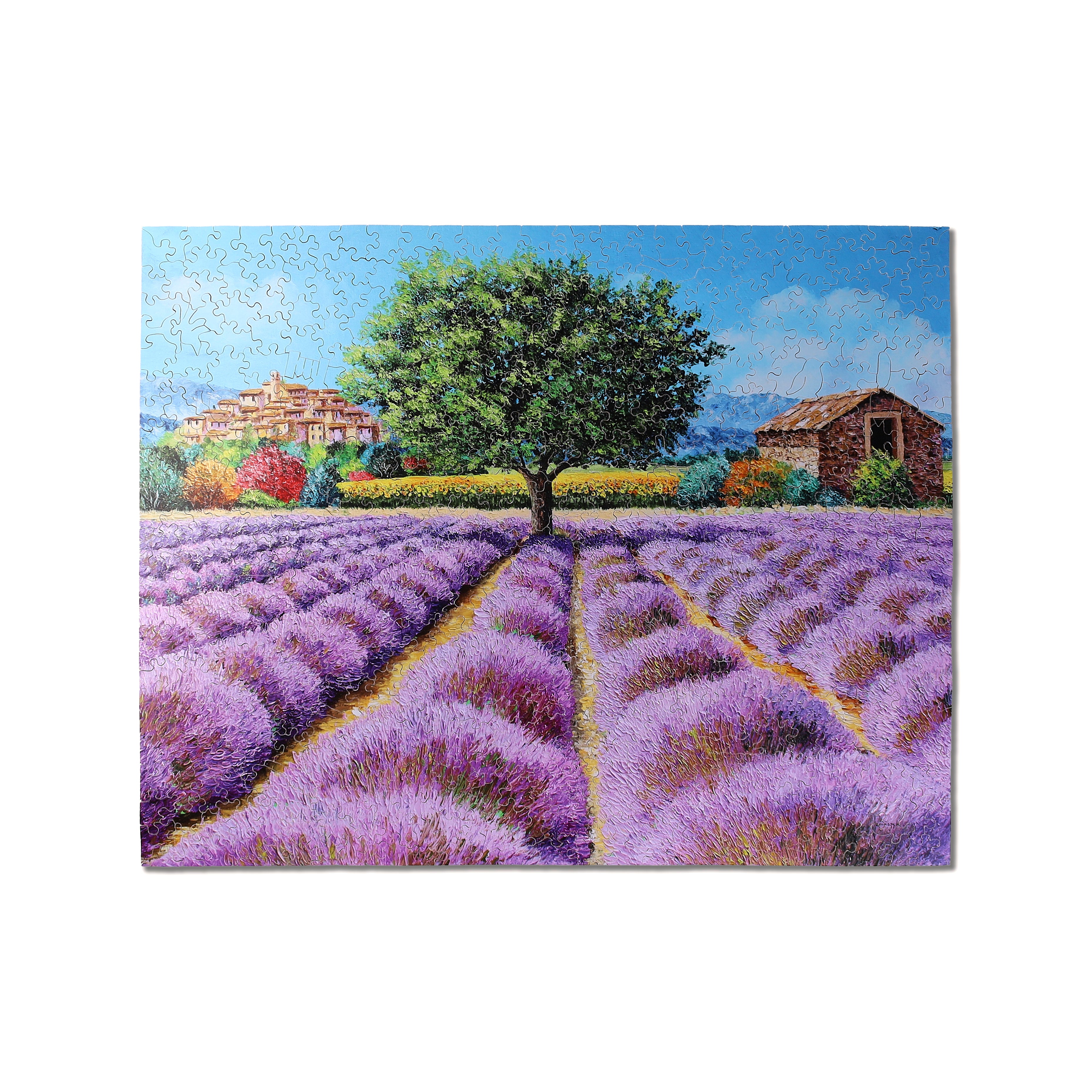 Among the Lavenders