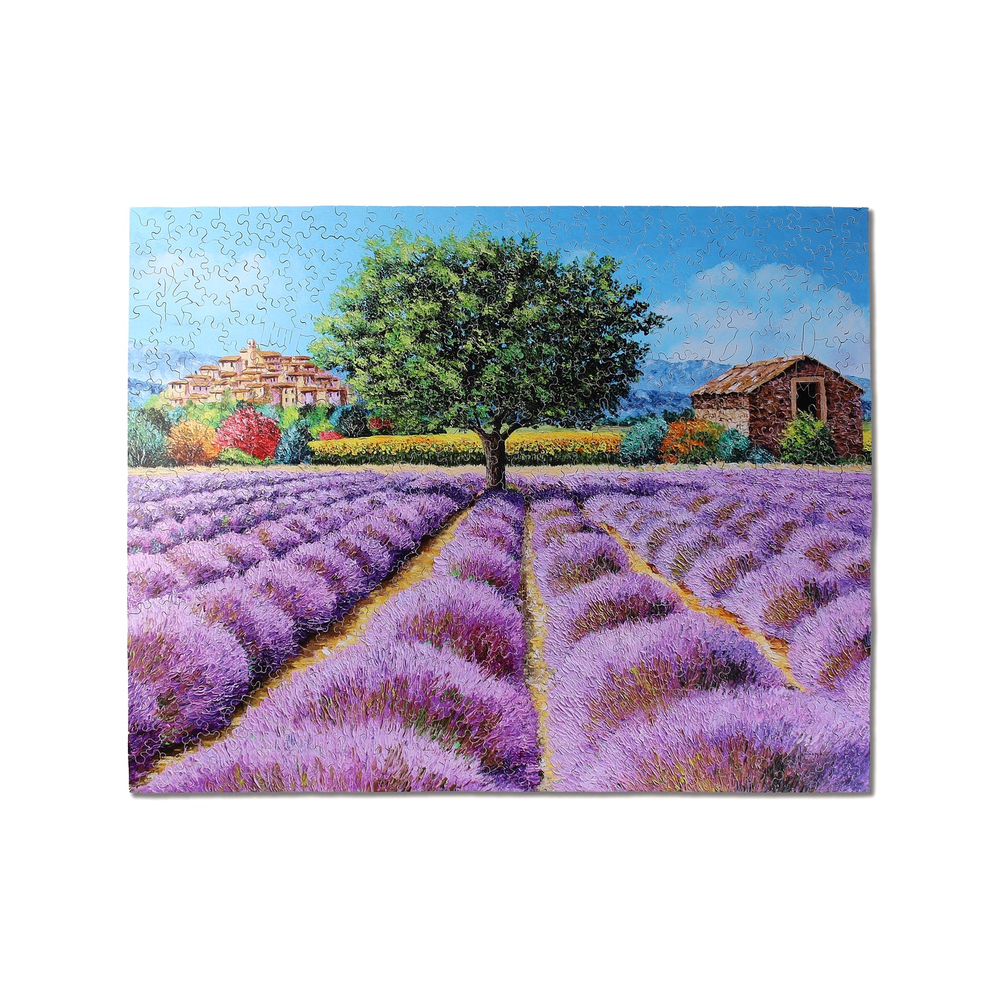 Among the Lavenders