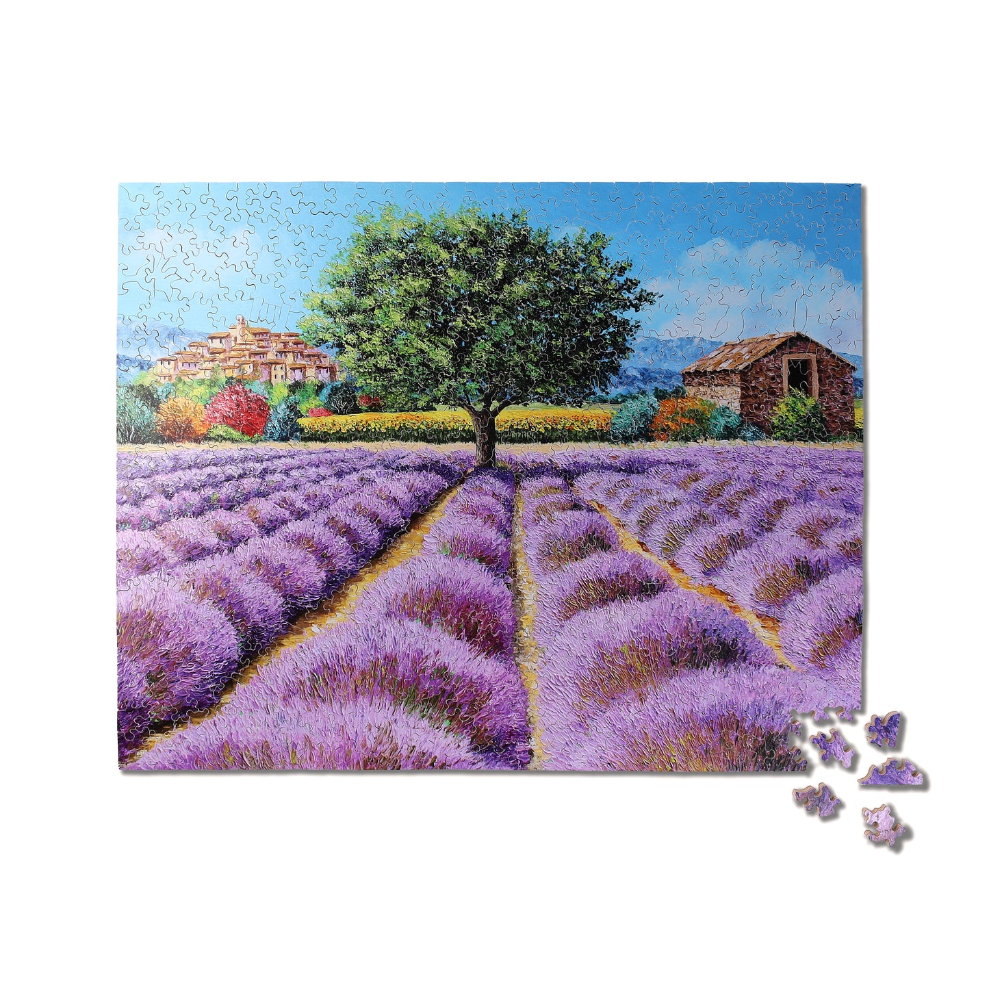 Among the Lavenders