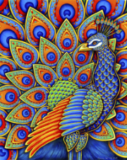 Colorful Paisley Peacock – Elms Puzzles