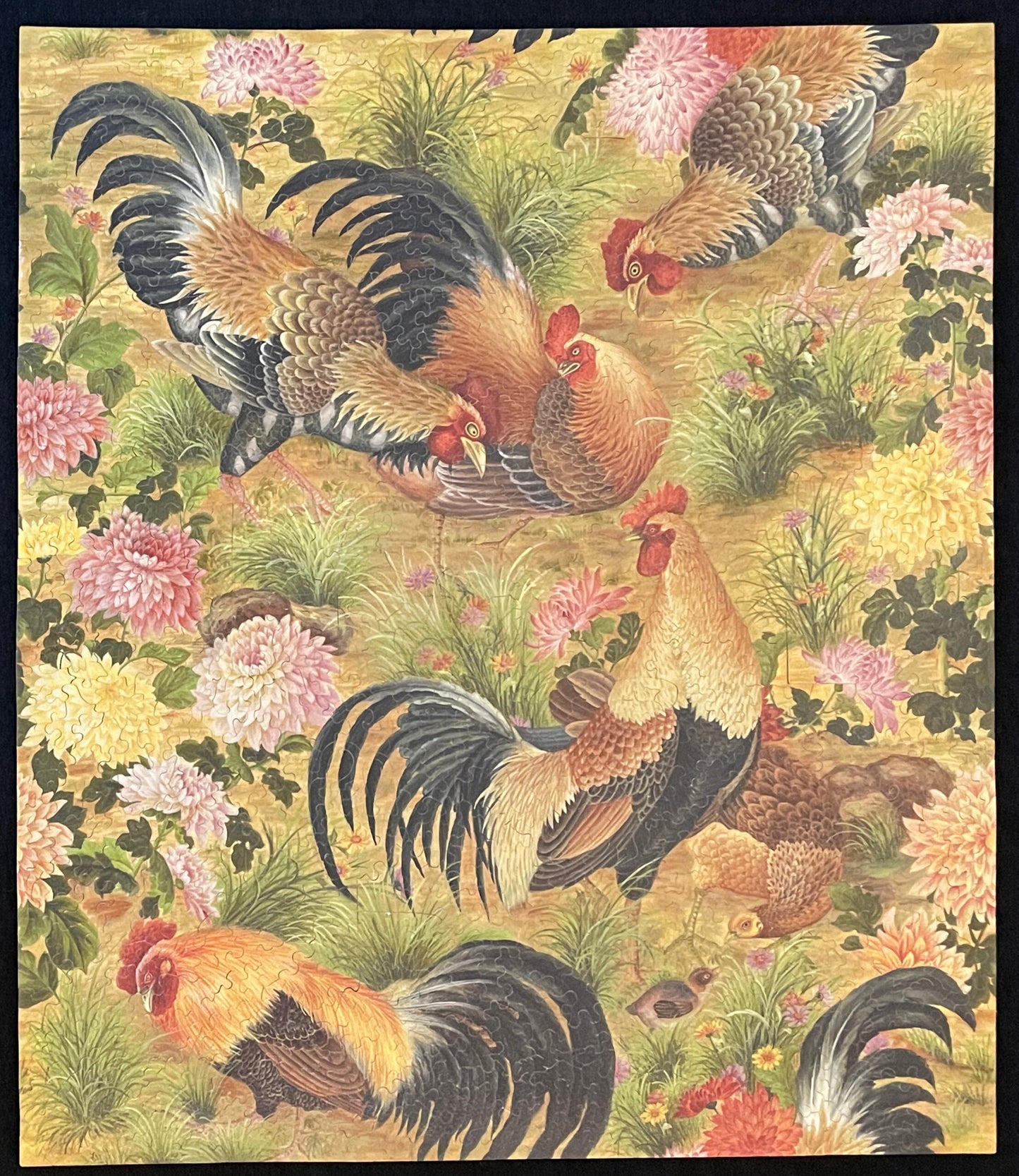 Rooster Frenzy