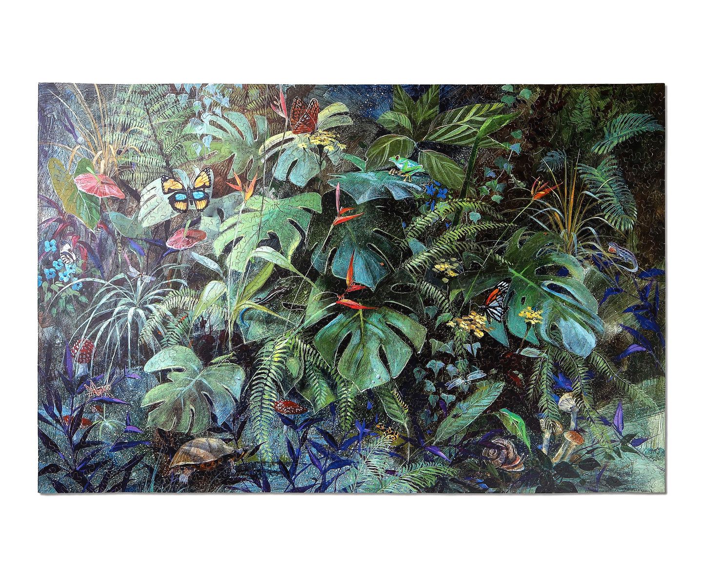 Tropical Forest Floor