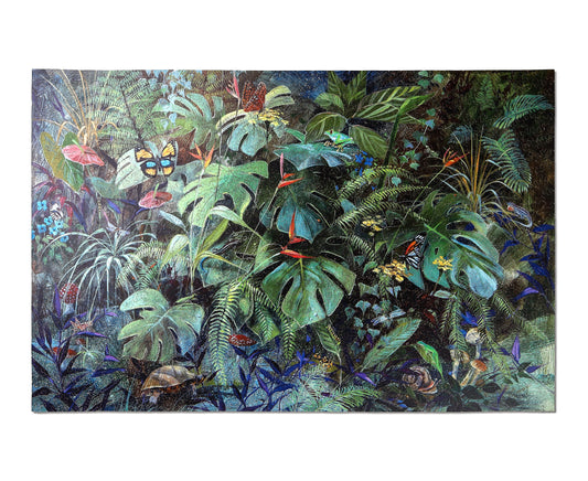 Tropical Forest Floor