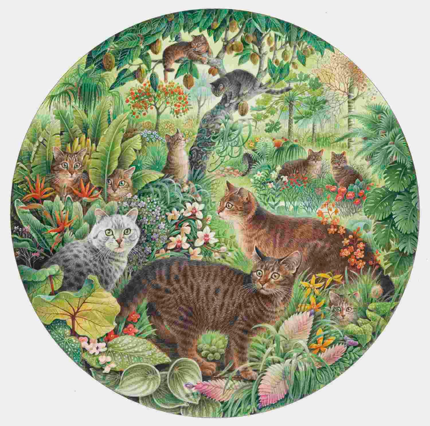 Tiger Cats in the Jungle